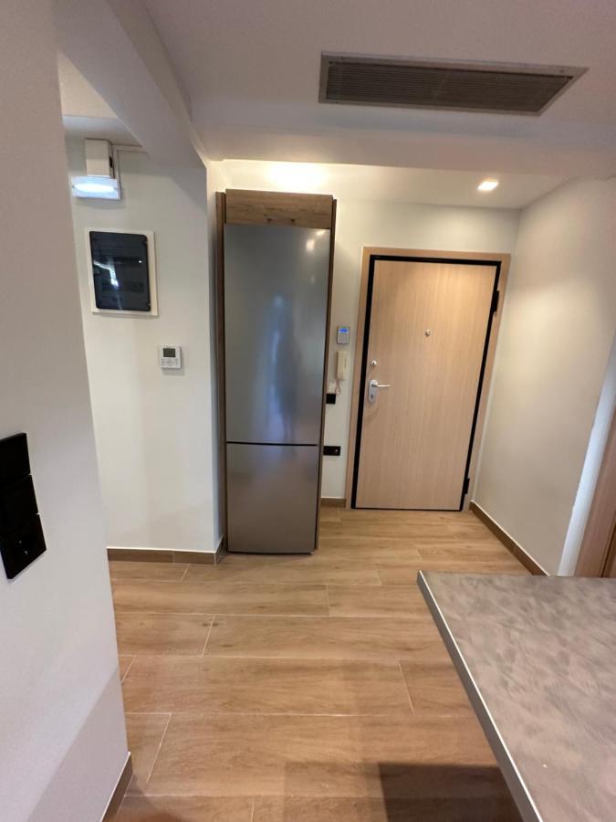 Vasilis Luxury Apartment Atenas Exterior foto